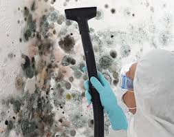 Pompano Beach, FL Mold Removal Services Company